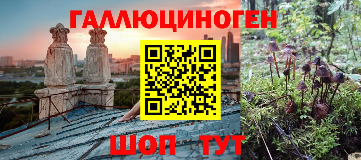 Будённовск  Псилоцибиновые грибы MAGIC MUSHROOMS  наркота  Галлюциногенные грибы MAGIC MUSHROOMS  Вход с VPN 