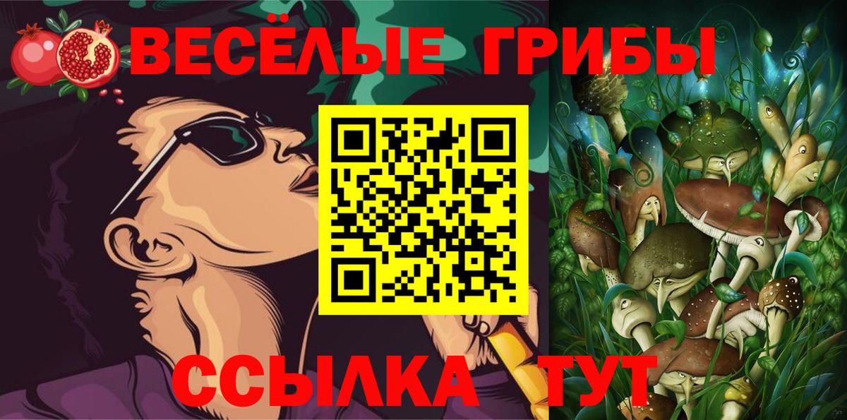 Псилоцибиновые грибы Cubensis Будённовск